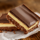 Nanaimo Bars have a crumb and coconut base layer, topped with vanilla custard butter icing and covered in chocolate